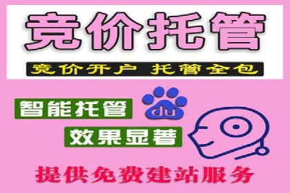 竞价代运营成功案例：如何实现广告投放效果翻倍